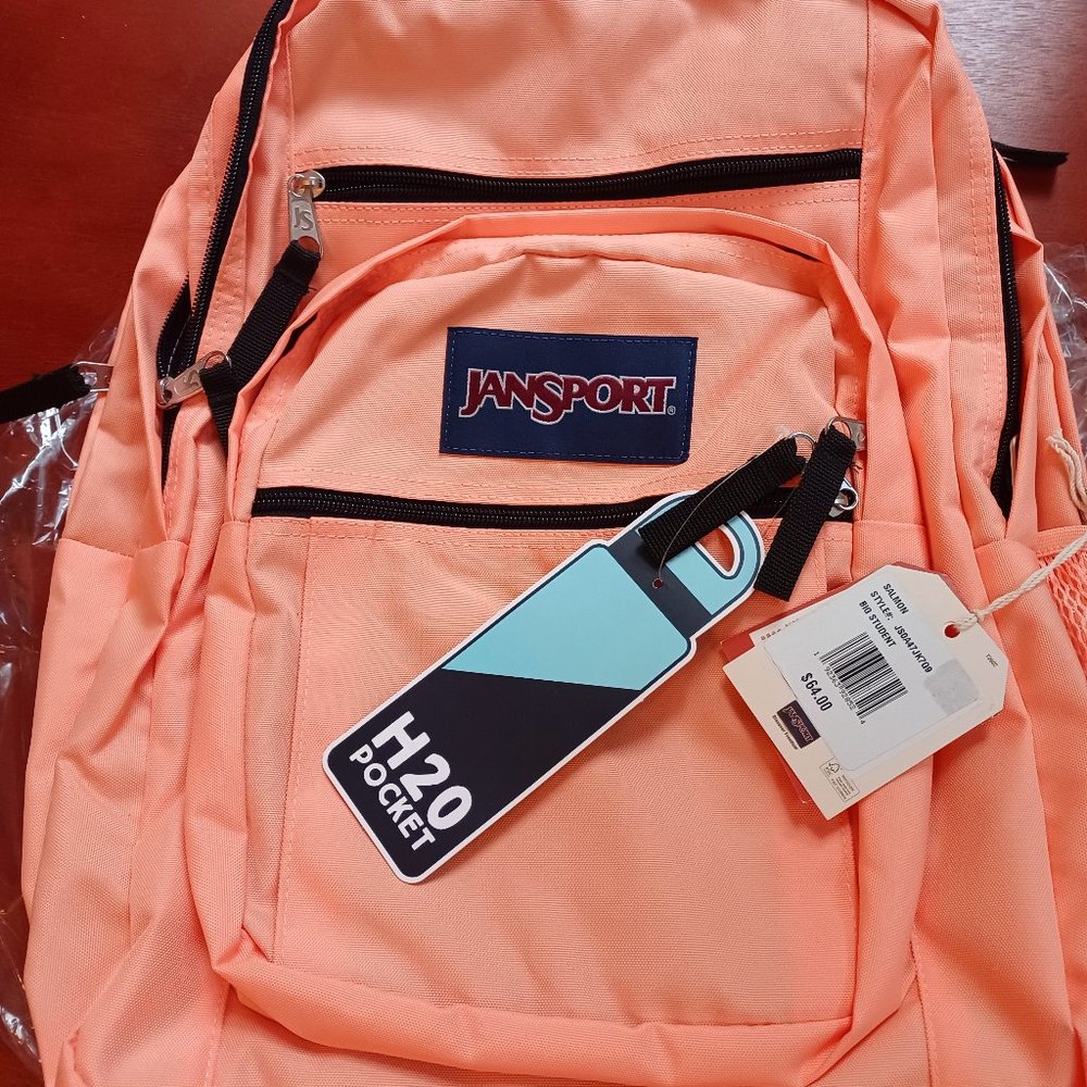 JanSport Big Student Backpack- Travel, Work Bookbag, 15” Laptop Sleeve - Salmon